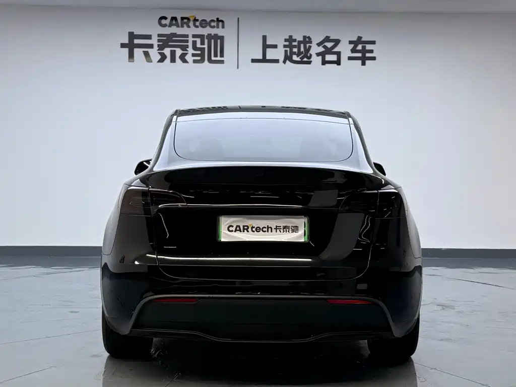 Tesla Model Y — миниатюра 4
