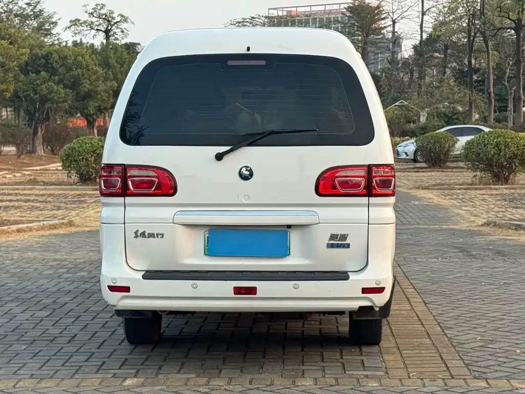 DONGFENG LINGZHI NEW ENERGY