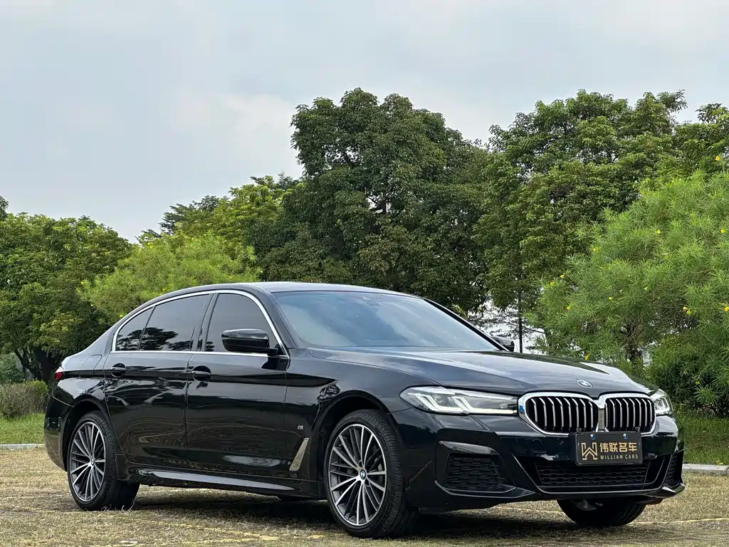 BMW 5 Series — миниатюра 3