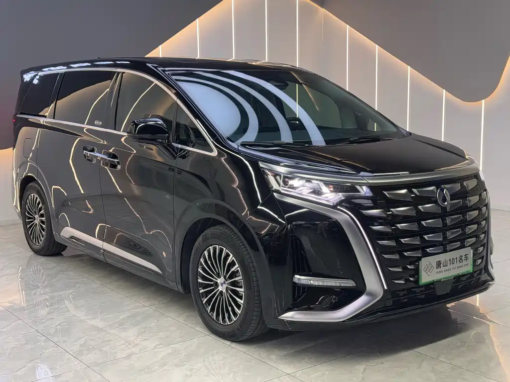 Denza Denza D9 — миниатюра 3