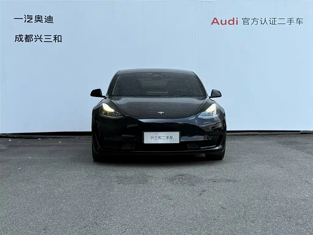 Tesla Model 3 — миниатюра 3