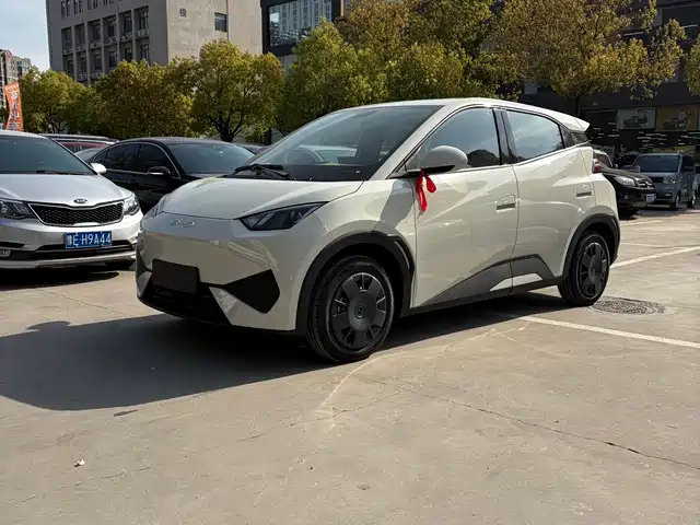2026 BYD Seagull