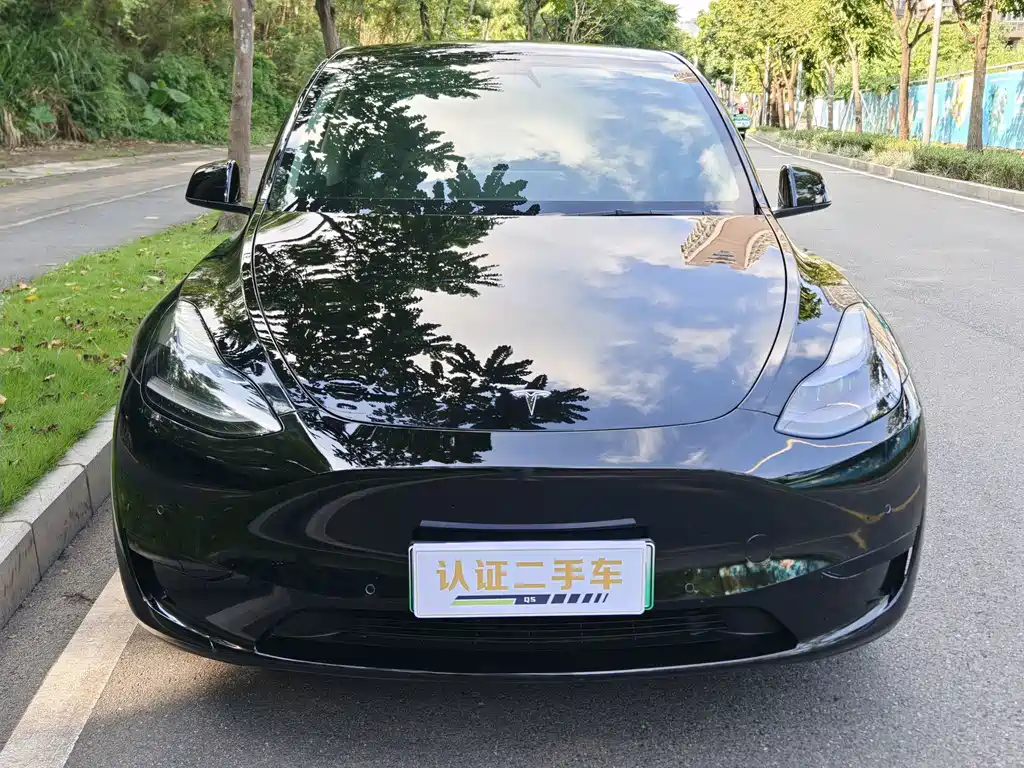 Tesla Model Y — миниатюра 2