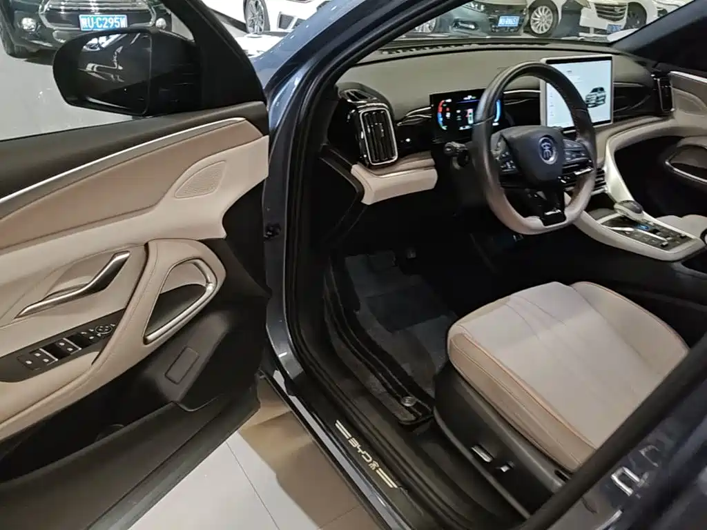 BYD Pro New Energy — миниатюра 16