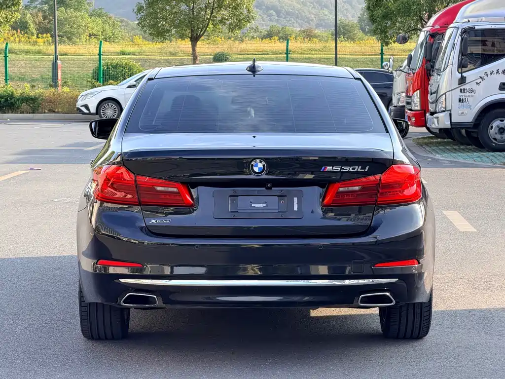 BMW 5 Series — миниатюра 5