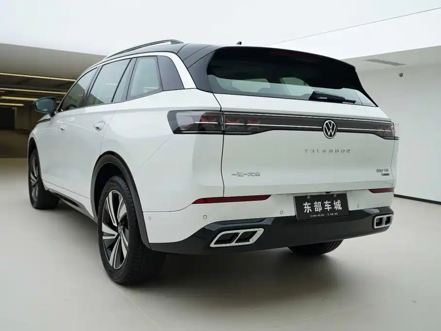 Volkswagen Tavendor — миниатюра 4