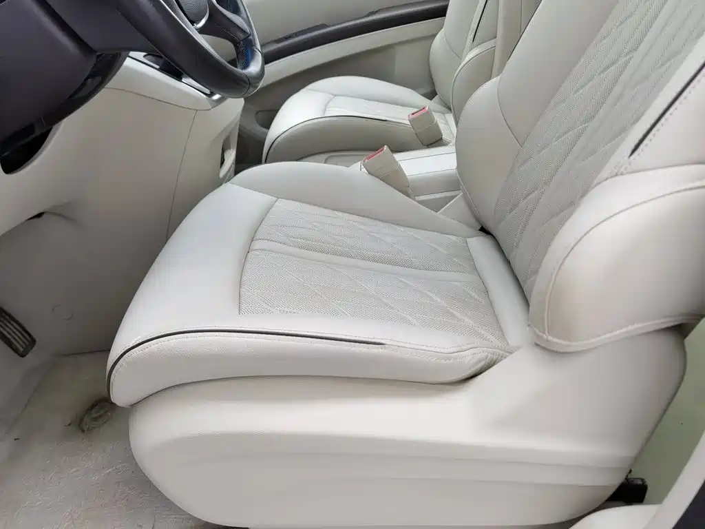 Buick GL8 — миниатюра 20