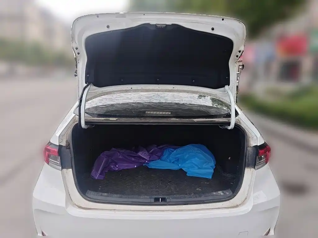 Toyota Corolla — миниатюра 15