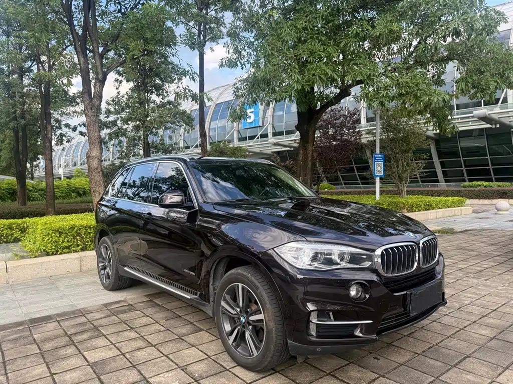 BMW X5 (Import) — миниатюра 3