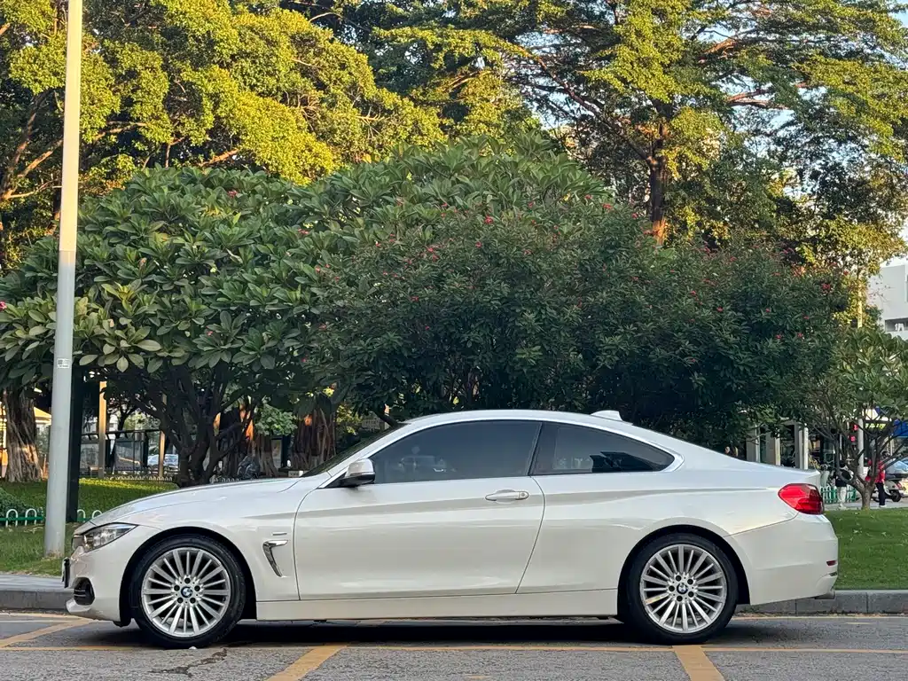 BMW 4 Series — миниатюра 4