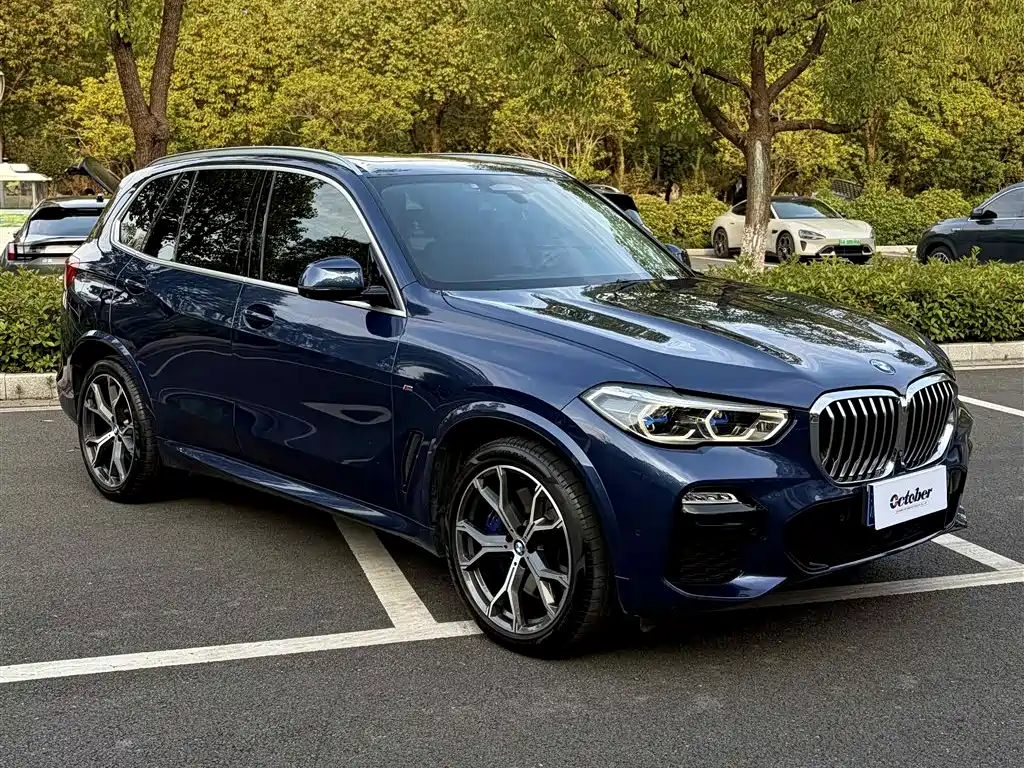 BMW X5 (Import) — миниатюра 4