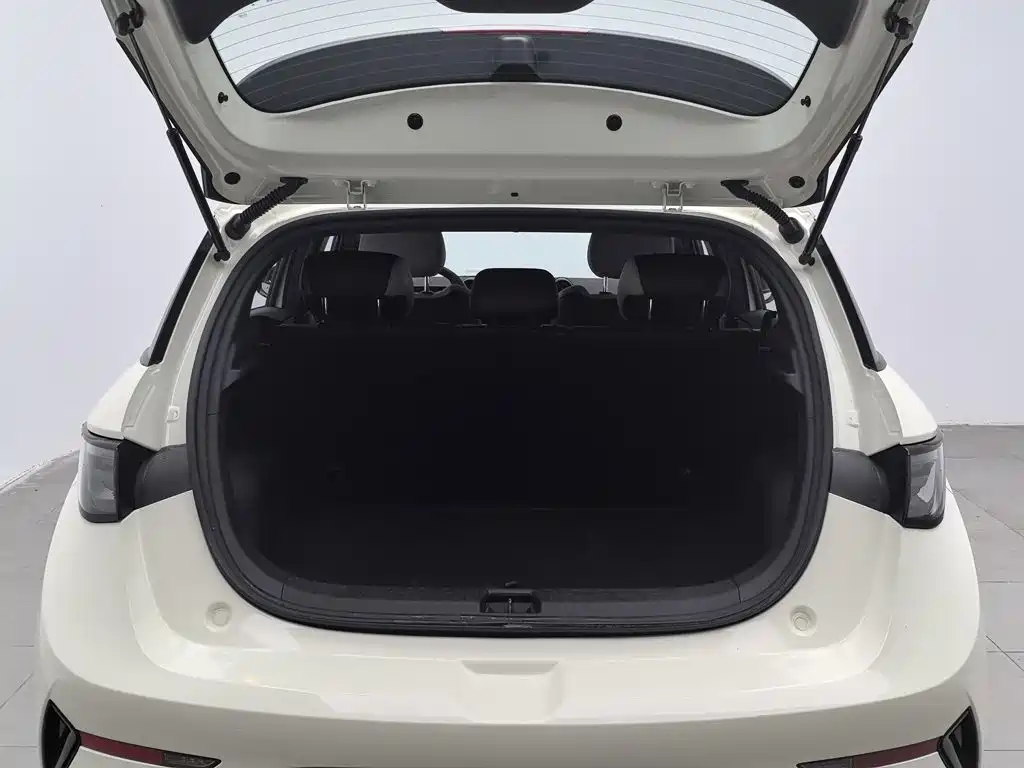 BYD Dolphin — миниатюра 16