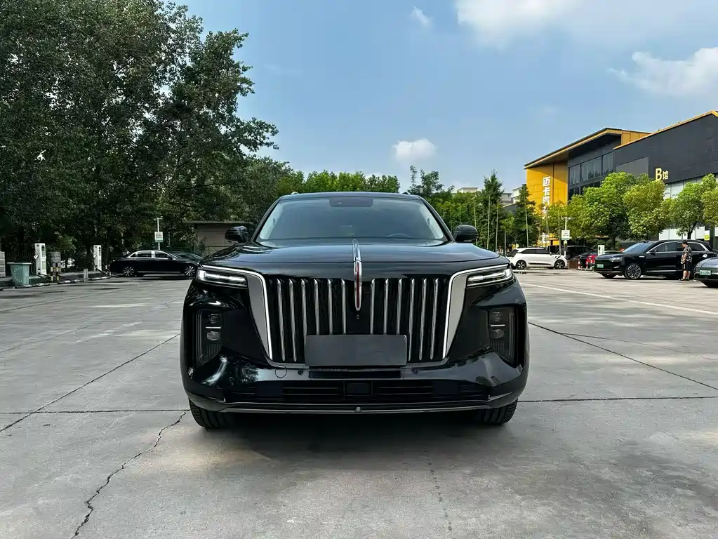 Hongqi Hongqi E-HS9 — миниатюра 2