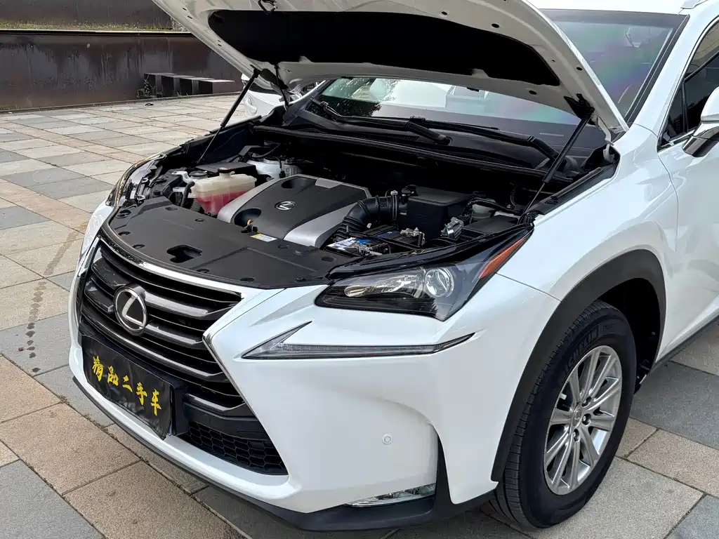 Lexus NX — миниатюра 11