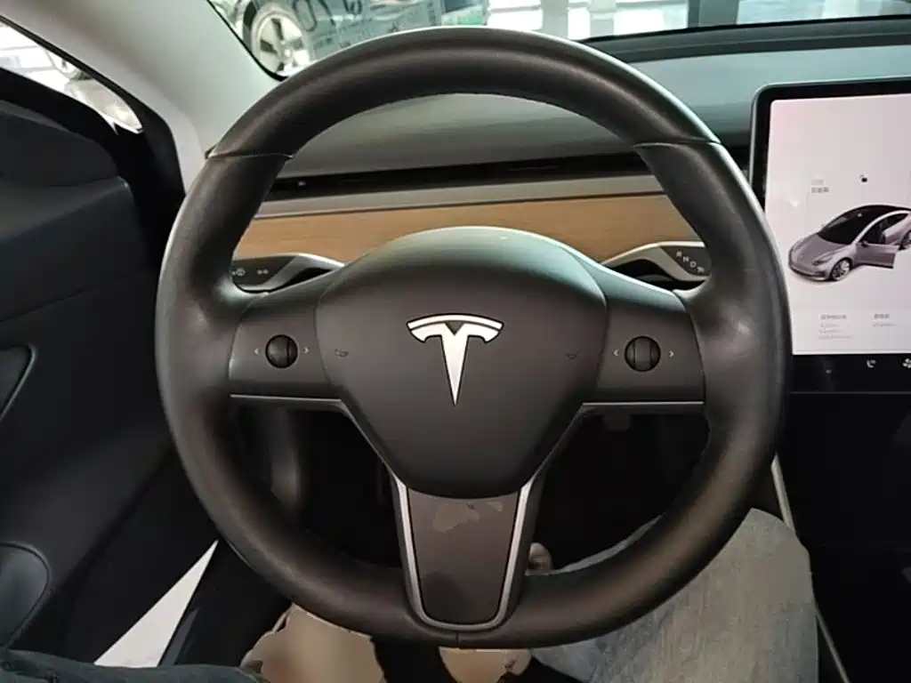Tesla Model 3 — миниатюра 11