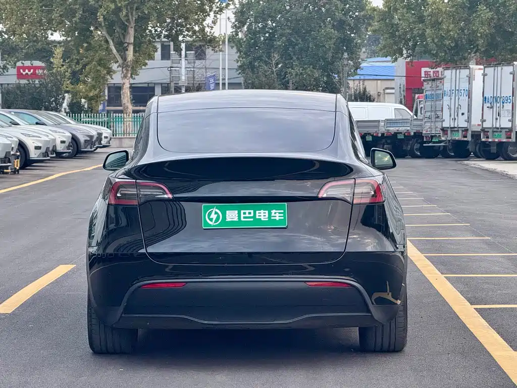 Tesla Model Y — миниатюра 5