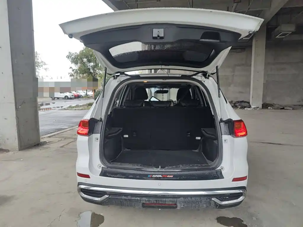 Haval M6 — миниатюра 19