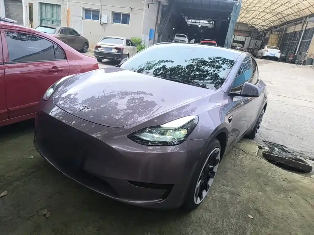 Tesla Model Y — миниатюра 2