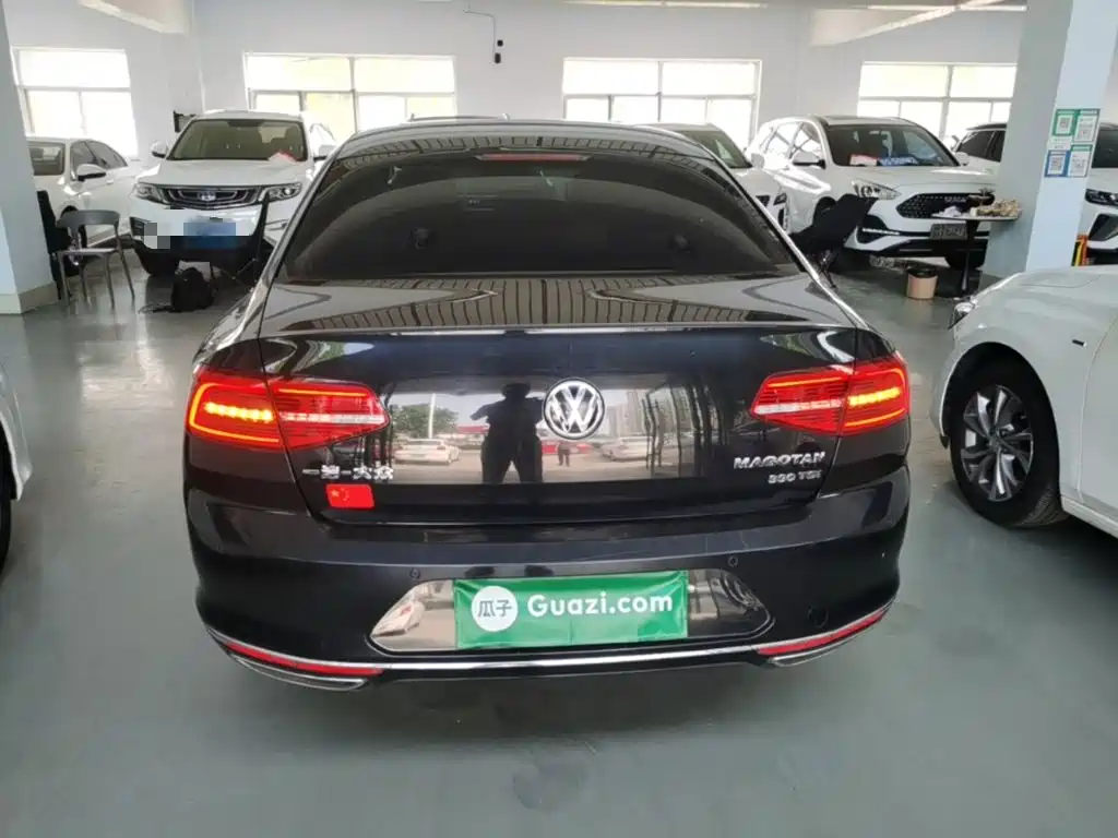 Volkswagen Magotan 2019 330TSI DSG Lead VI