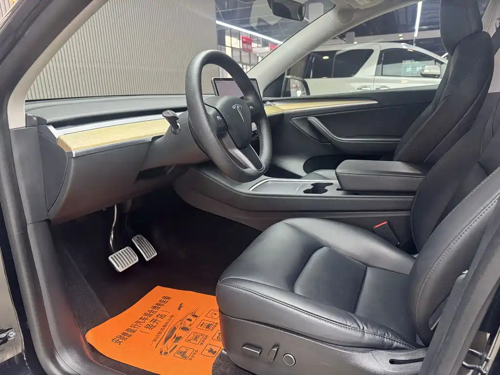 Tesla Model Y — миниатюра 10