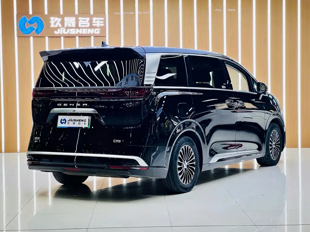 Denza Denza D9 — миниатюра 11