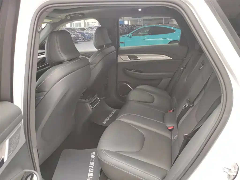 ARCFOX EXTREME FOX POLAR FOX ALPHA T