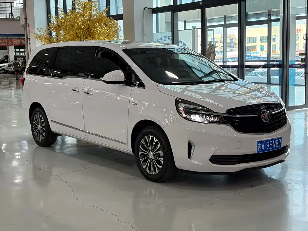 Buick GL8 — миниатюра 3