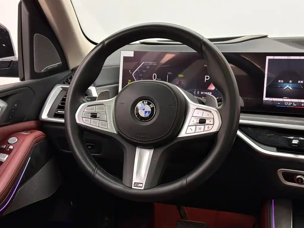 BMW X5 — миниатюра 12