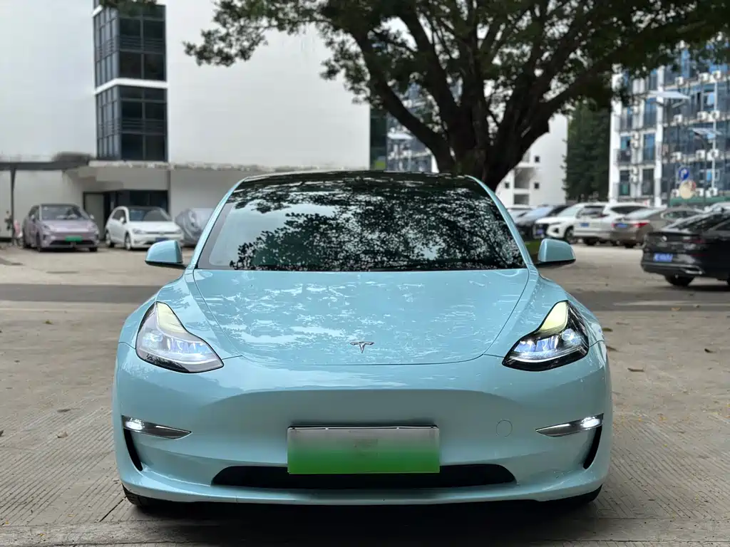 Tesla Model 3 2021 Performance 3D6