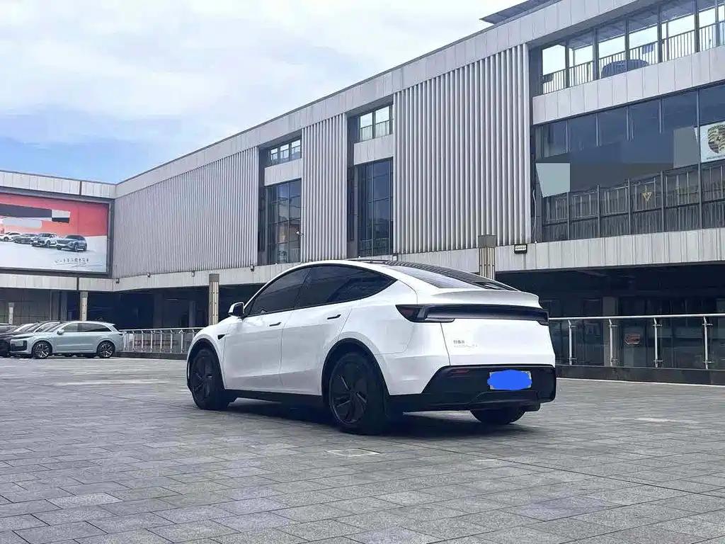 Tesla Model Y — миниатюра 6