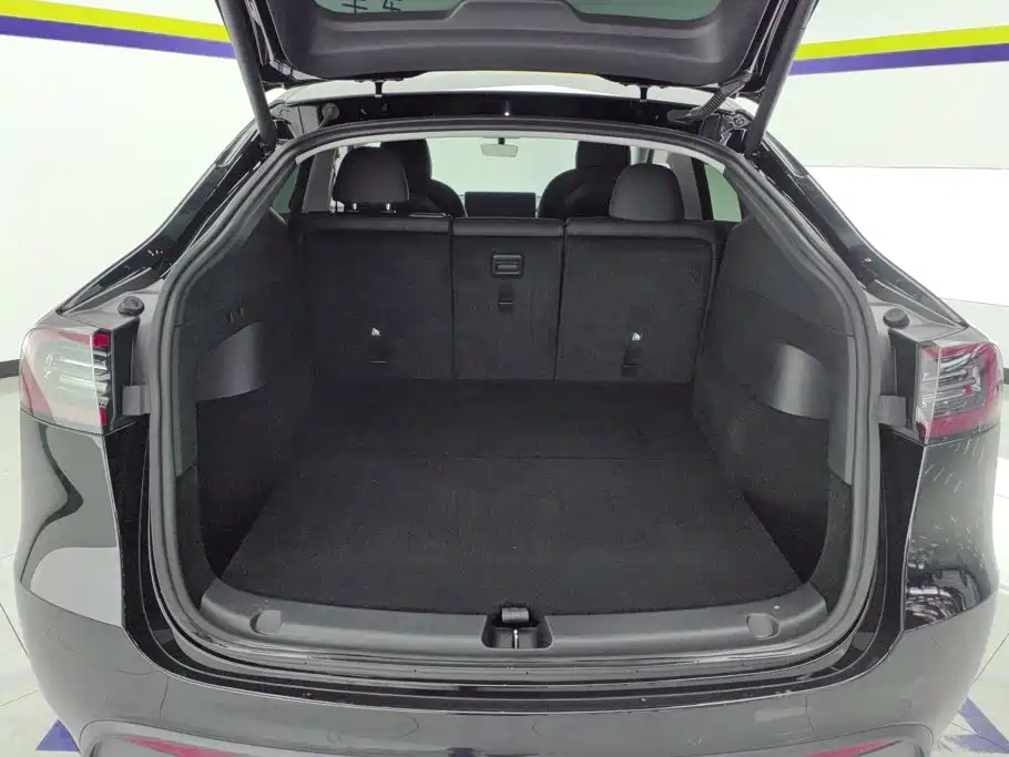 Tesla Model Y — миниатюра 4