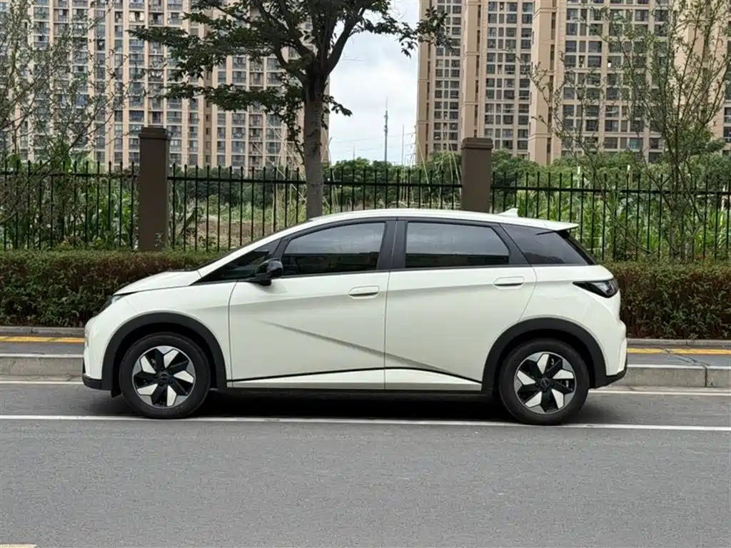 BYD Dolphin 2025 420km Freedom