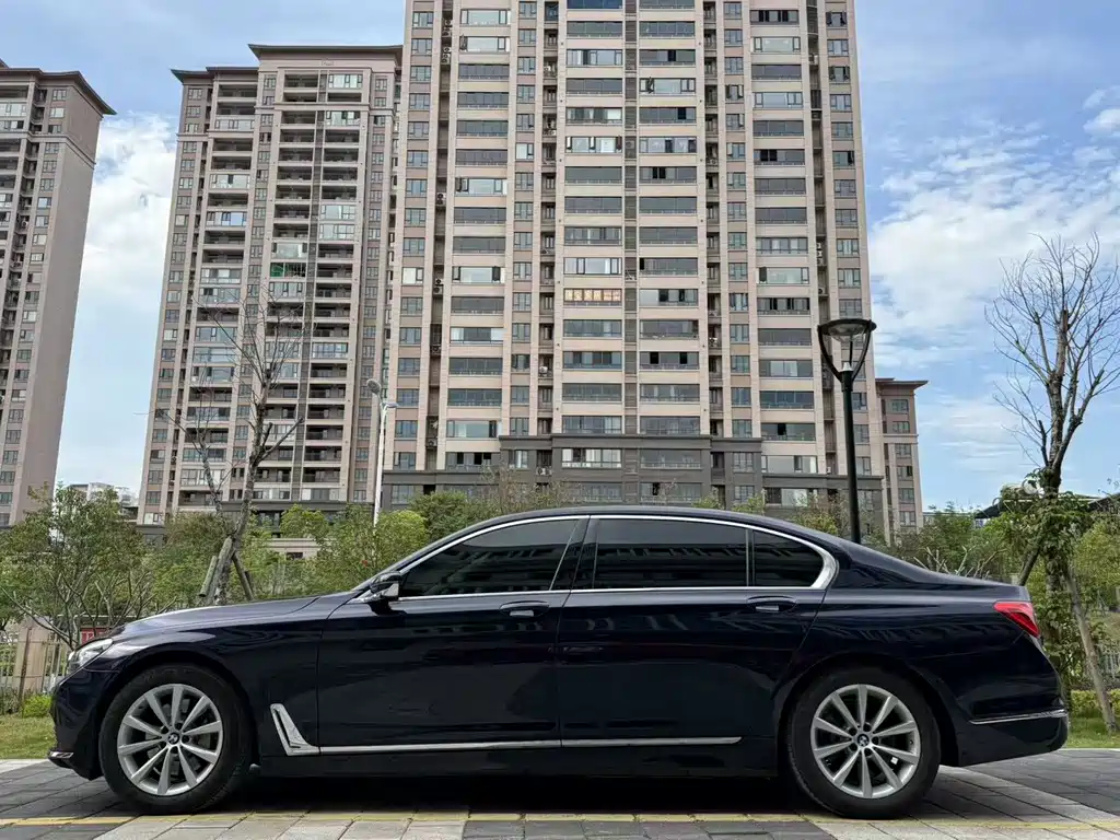 BMW 7 Series 730Li Leading Type, фото 3