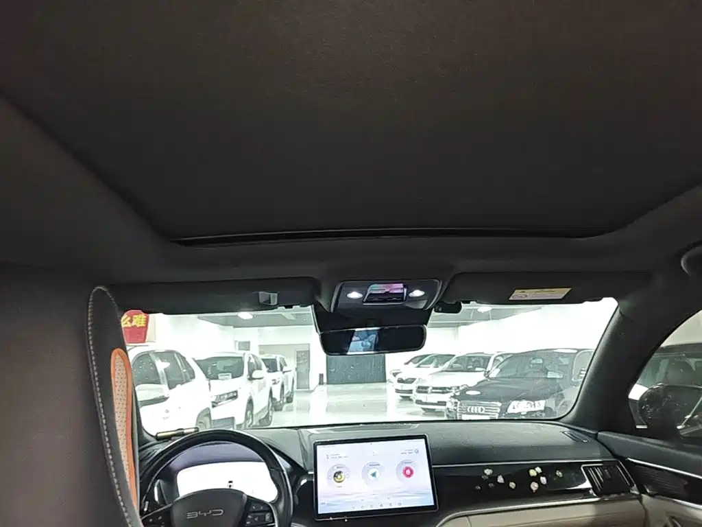 BYD PLUS New Energy — миниатюра 18