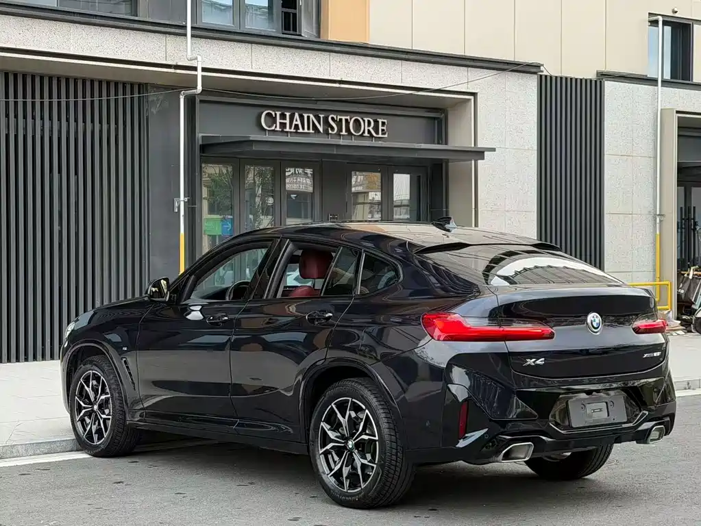 BMW X4 — миниатюра 8