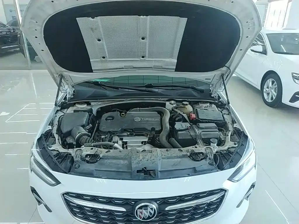 Buick Regal — миниатюра 20
