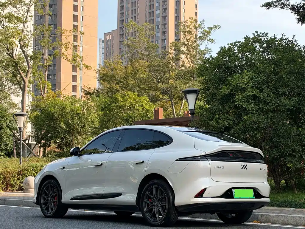 IM IM LS6 — миниатюра 11