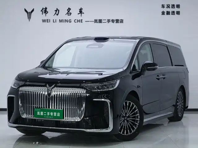 2025 Voyah Dream