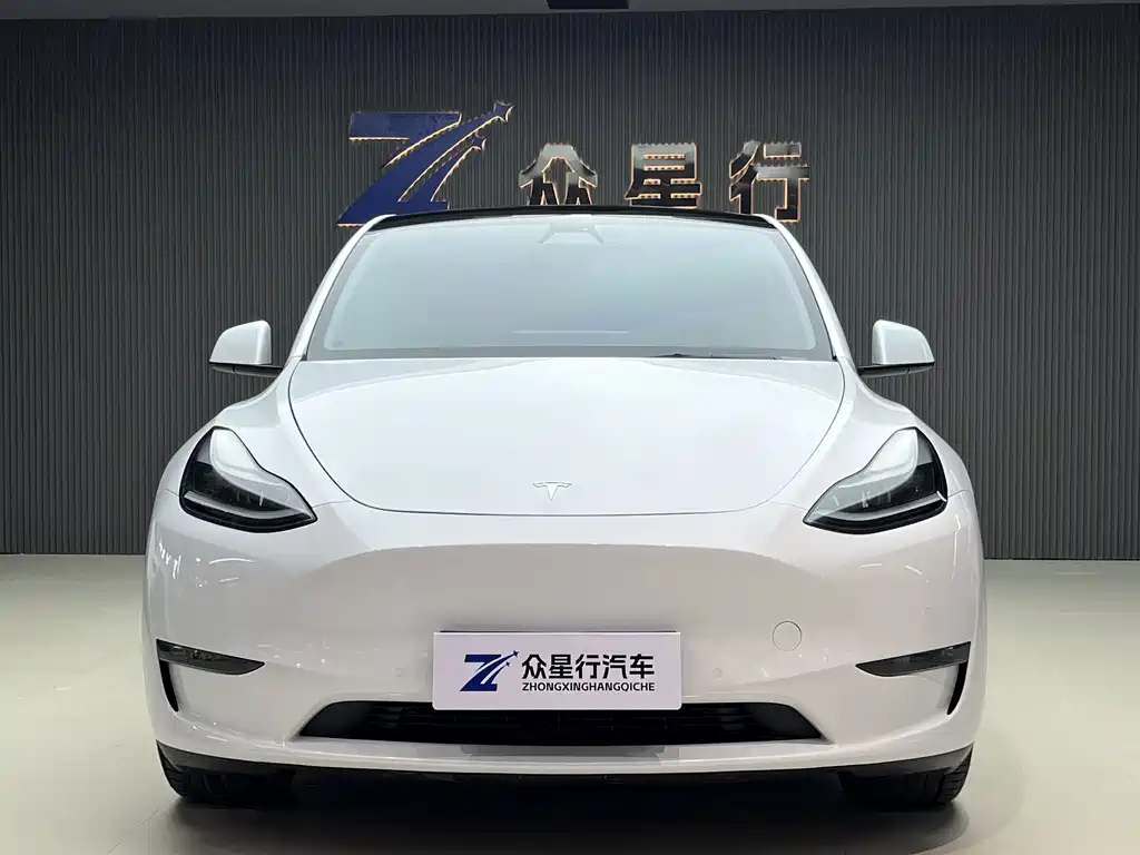 Tesla Model Y — миниатюра 2
