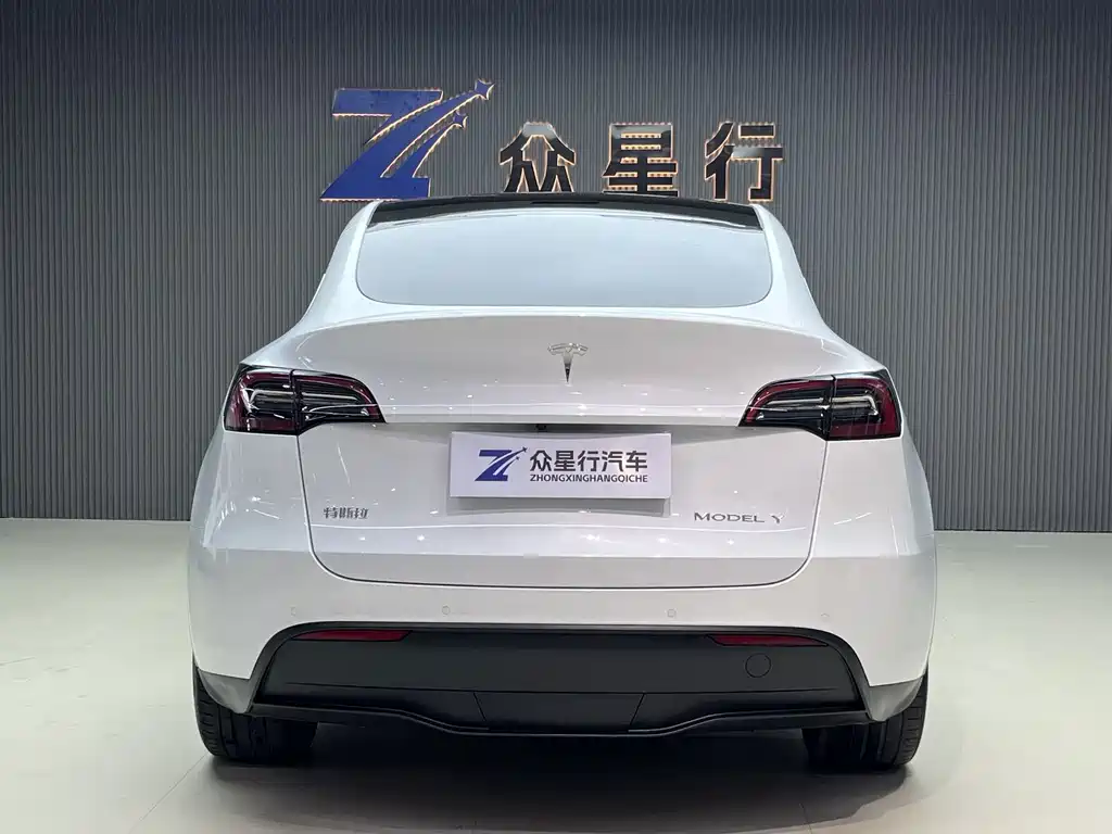 Tesla Model Y — миниатюра 4