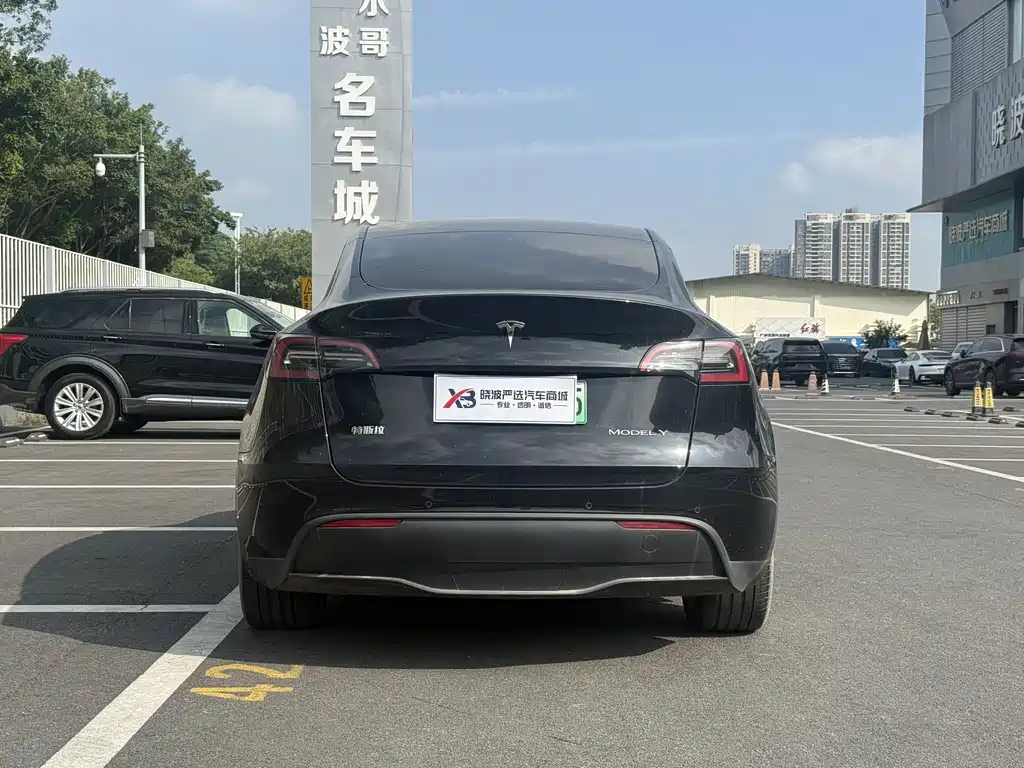 Tesla Model Y — миниатюра 12