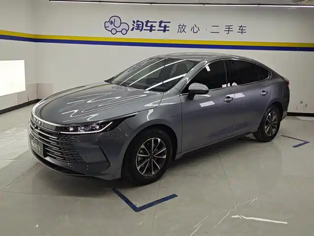 BYD DESTROYER 05 2024