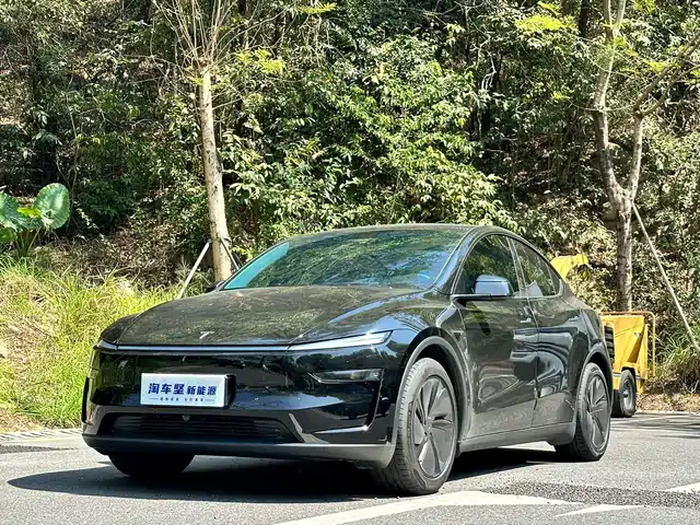 TESLA MODEL Y 2025