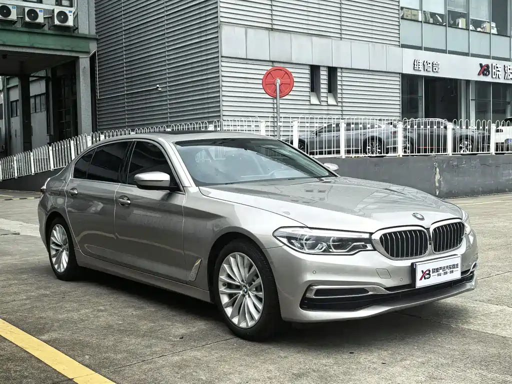 BMW 5 Series 5 2020 530Li Premium Luxury
