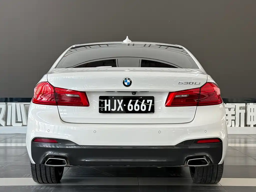 BMW 5 Series 5 2018 530Li Lead M Sport