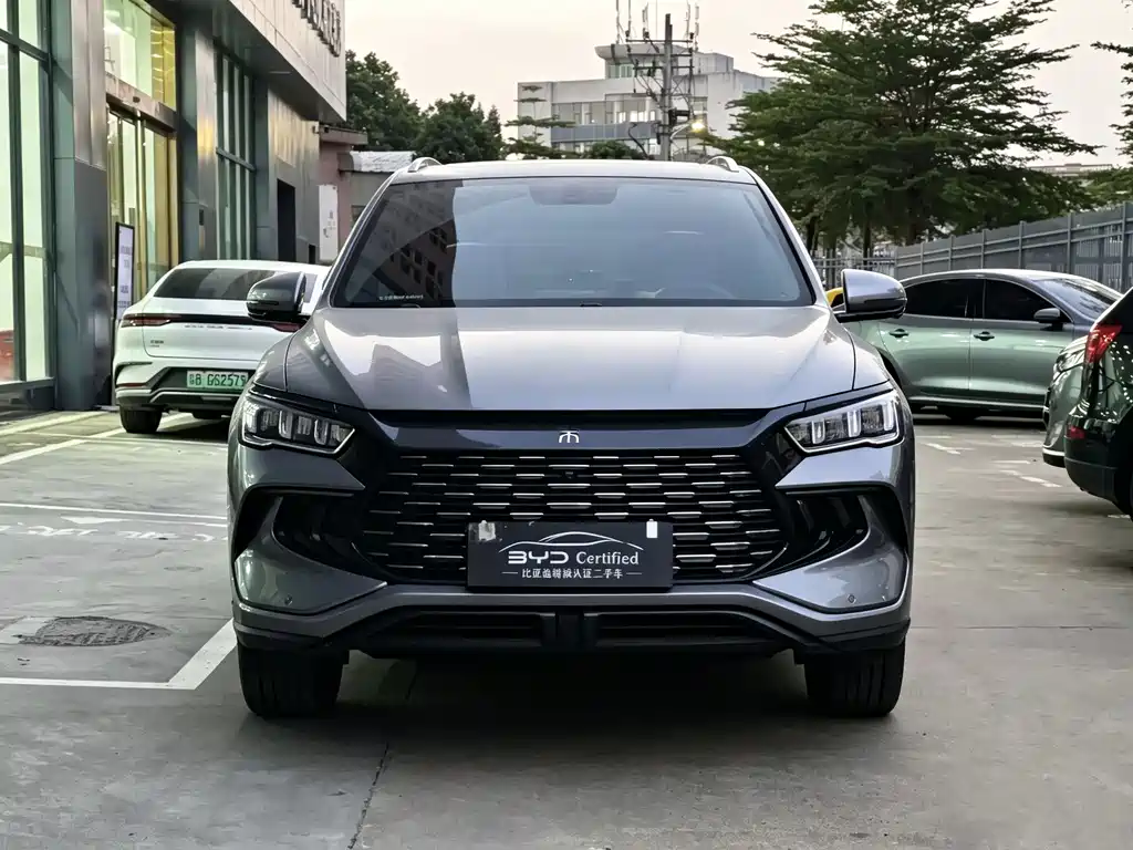BYD Pro New Energy — миниатюра 2