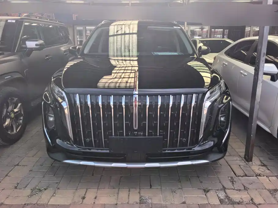 Hongqi Hongqi HS7 PHEV — миниатюра 2