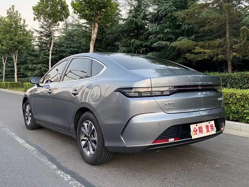 BYD Destroyer 05 — миниатюра 14