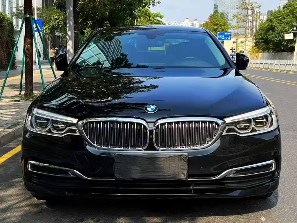 BMW 5 Series 5 2020 530Li Premium Luxury