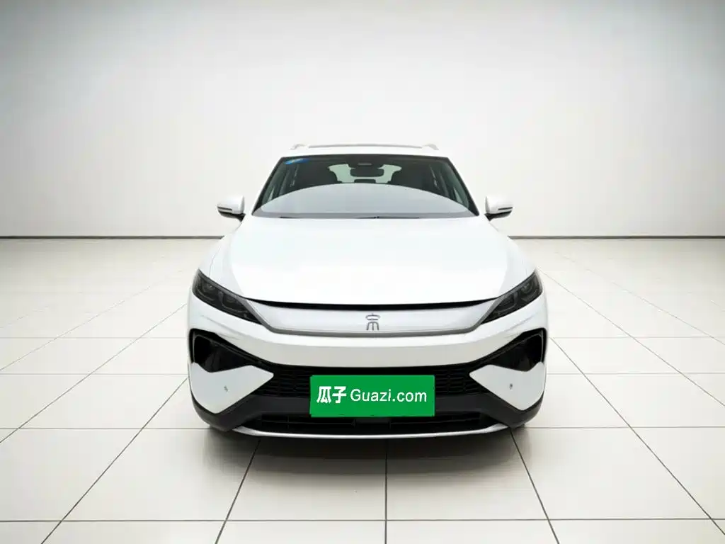 BYD Pro New Energy — миниатюра 2